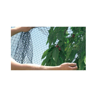 Malla anti ocells 2x5m