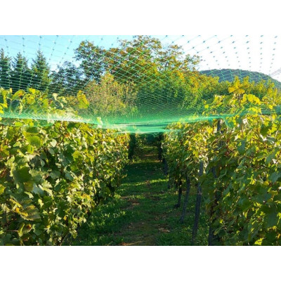 Malla anti ocells 2x5m