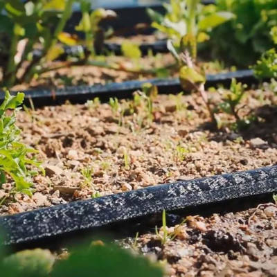 Cinta de riego exudante 50m