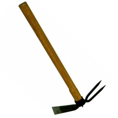 Aixada amb 2 dents i pala de 10cm