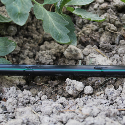 Cinta de goteo T-tape (100m)