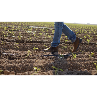 Cinta de goteo T-tape (300m)