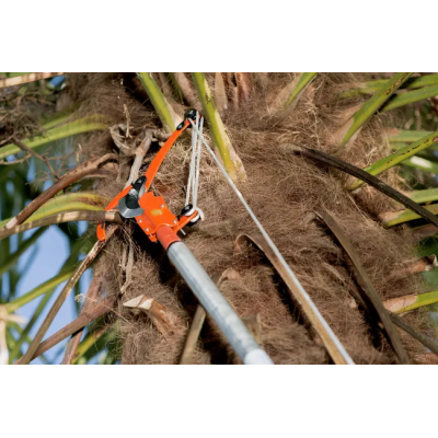 Tijera de poda de altura BACHO P34-37