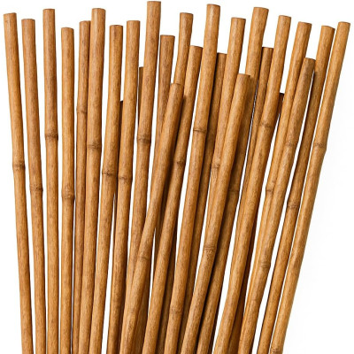 Pack 10 cañas de bambú 150cm