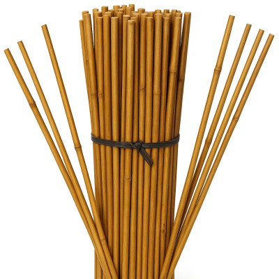 Pack 10 cañas de bambú 150cm