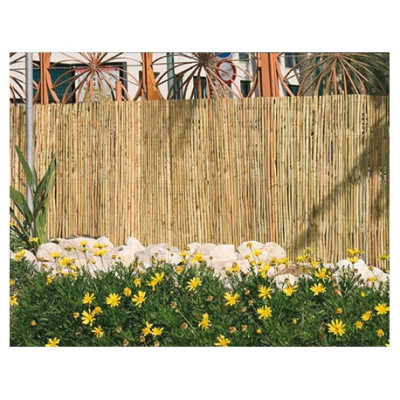 Canyís partit 1,5x5m