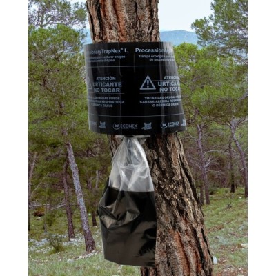 Trampa per a l'eruga processionària