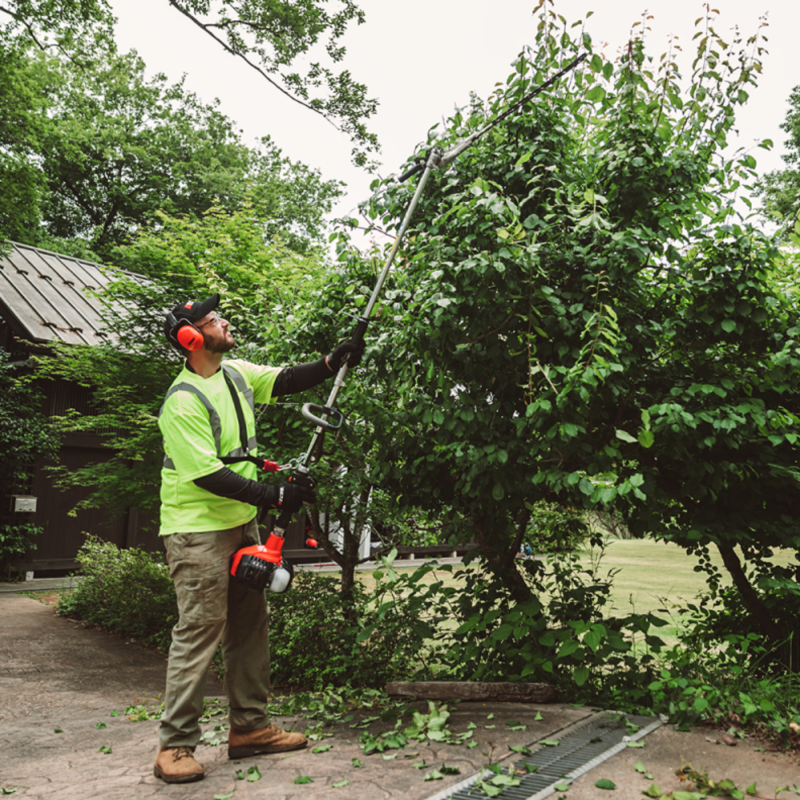 Lloguer de tallatanques amb pèrtiga PAS-262 Echo | Sabater