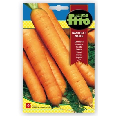 Llavors de Porro Carentan