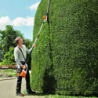 Lloguer de Tallatanques alçada STIHL HLA 86