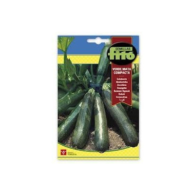 Llavors de carbassó Verd