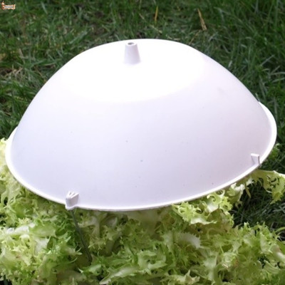 Sombrero para escarola