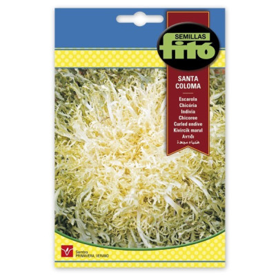 Llavors d'Escarola Santa Coloma