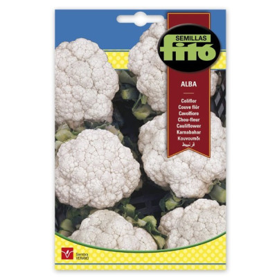 Llavors de Coliflor Alba