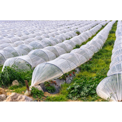 Plástico normal GG600