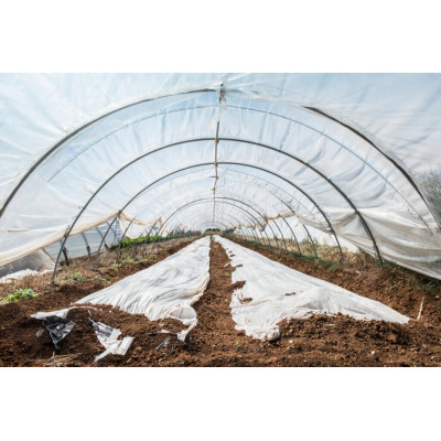 Plàstic tèrmic GG800