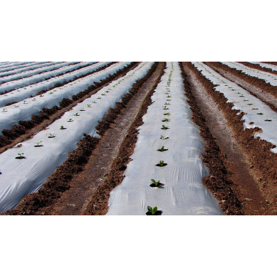 Acolchado plástico 1.2x50m  120gg