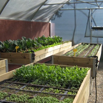 Mesa de cultivo en Madera